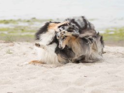 familie stockamp juni 2016 13